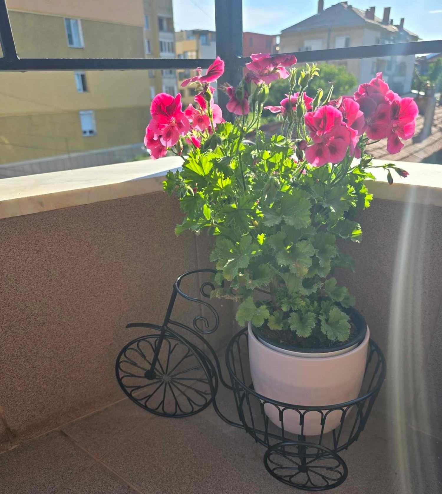 Luxury City Centre Appartment Iva Sliven Bagian luar foto